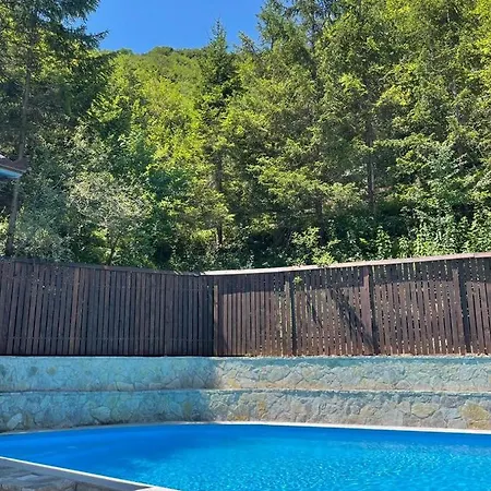 Inas & Lemia Forrest Homes With Outdoor Swimming Pool * Bihac